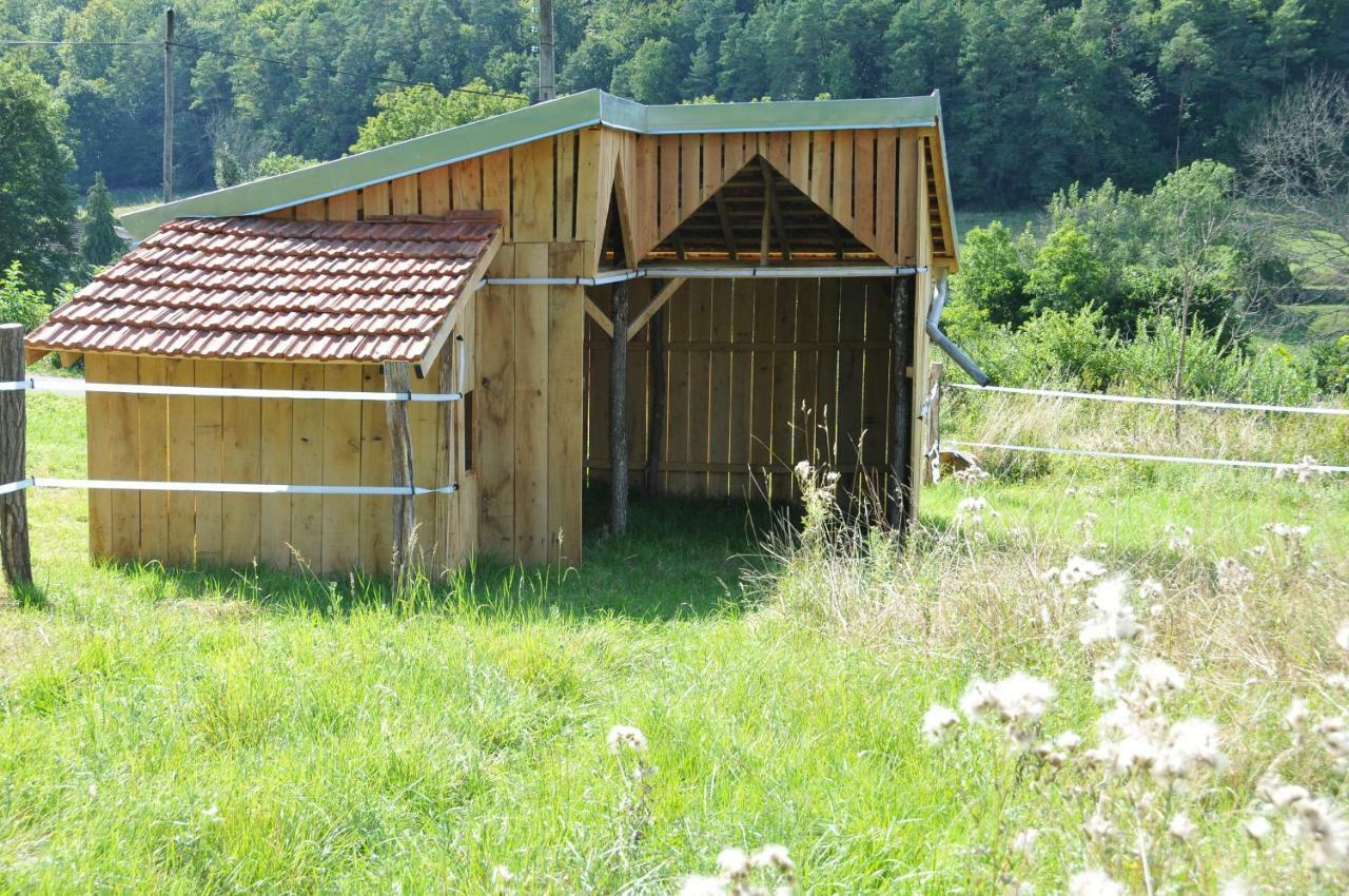 Air De Camping - Chemin De Traverse Auberive Экстерьер фото